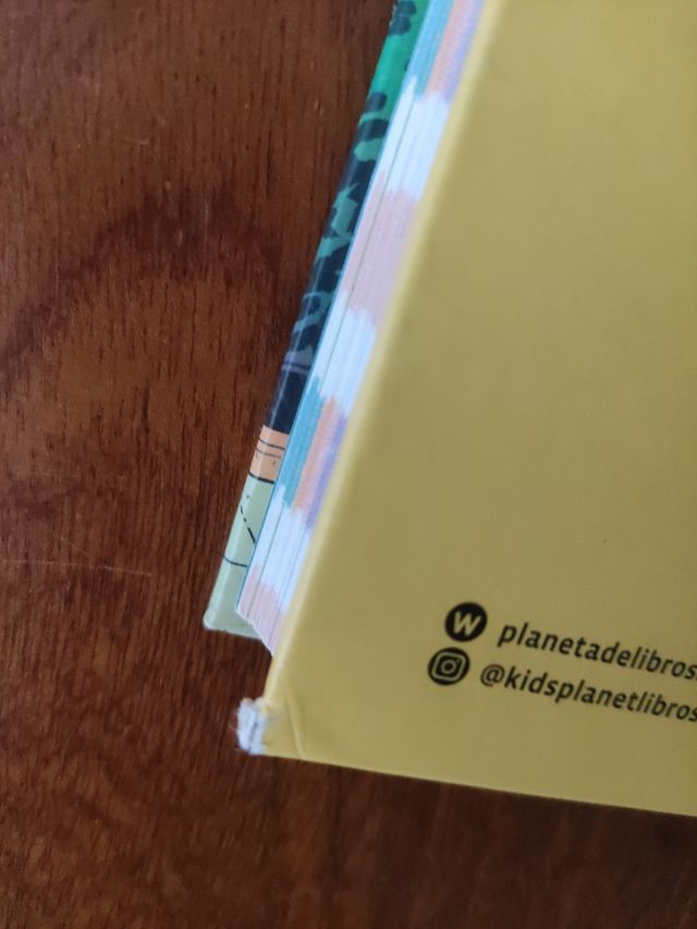 Beniamina Wood 2. Un concurso muy confuso