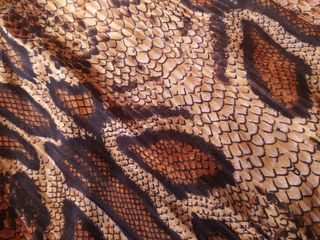 Camisa serpiente beige y marrón