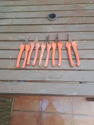 5 Tijeras podar jardinería
