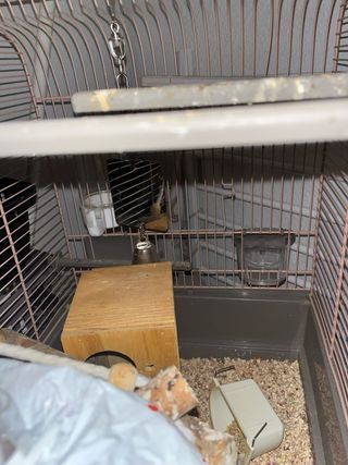 Voltrega 652 Jaula Pajaros