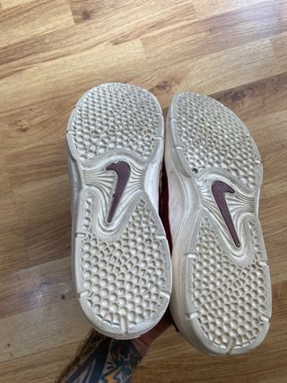 Zapatillas Nike Sb Vertebrae Burgundy 44.5