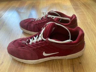 Zapatillas Nike Sb Vertebrae Burgundy 44.5