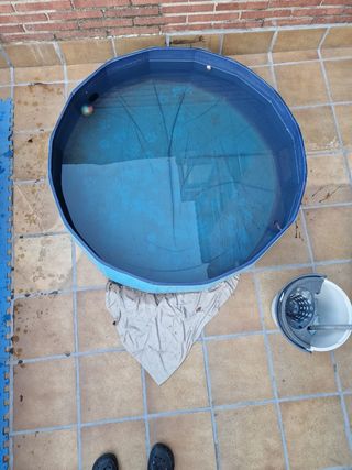 Piscina Plegable smallrun para Mascotas - Azul