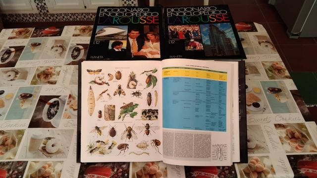 Diccionario/Enciclopedia Larousse de 15 tomos