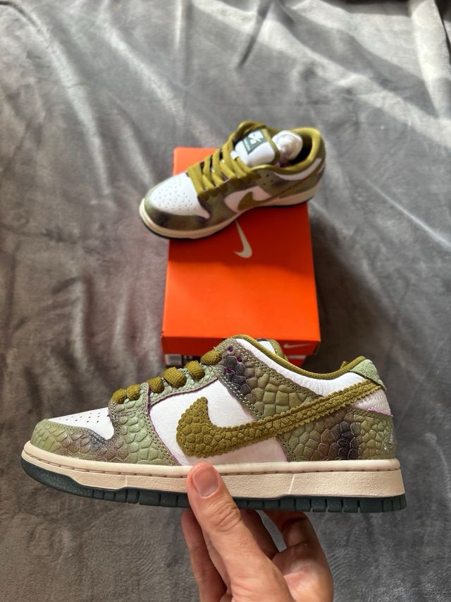 Nike Dunk SB Low Pro Chameleon