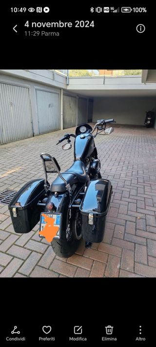Harley Davidson XL 883 custom