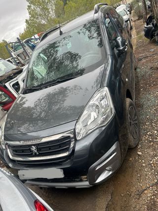 Peugeot Partner Tepee despiece