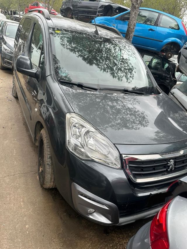 Peugeot Partner Tepee despiece