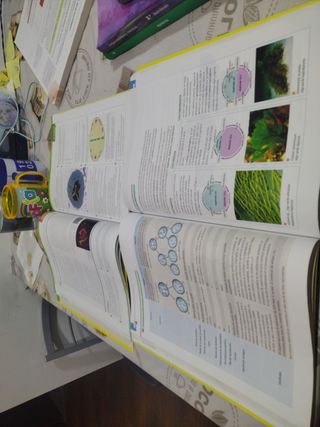 Biología, Ciencias, Bachillerato 2