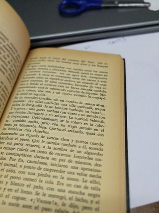 Difunto Bajo Los Almendros En Flor