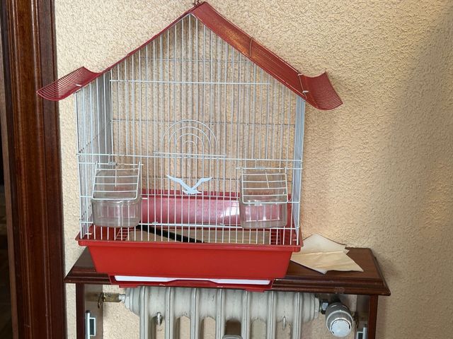 Estantería infantil 119x35cm