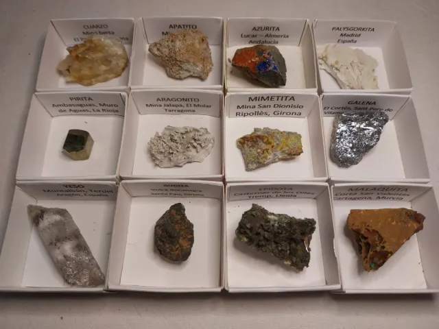 Lotto di 12 minerali in scatole da 4x4cm