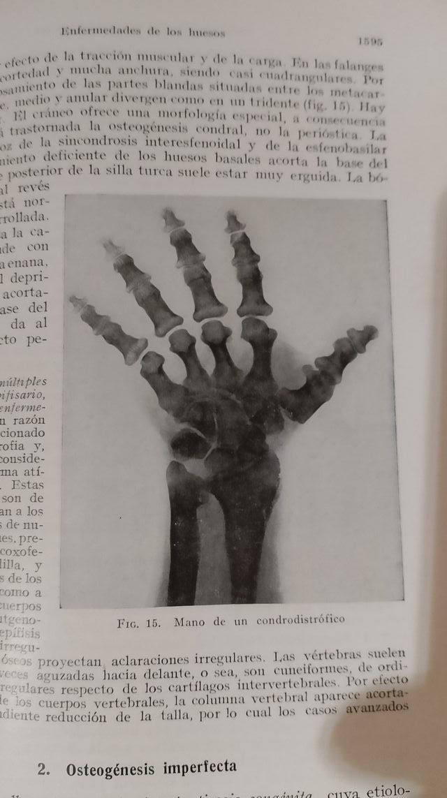 TRatado de patologia Medica II , 1944