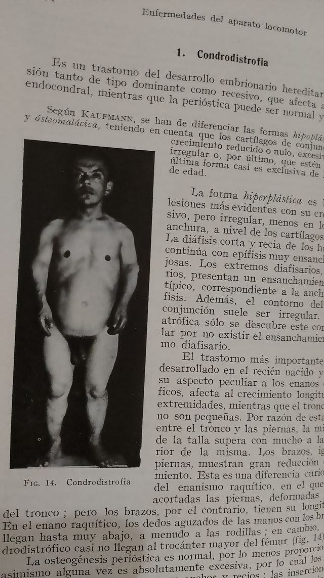 TRatado de patologia Medica II , 1944