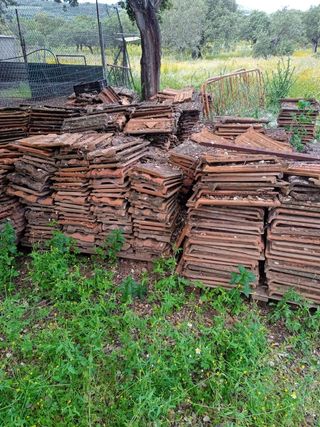 1200+ Tejas Alicantinas usadas