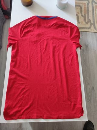 Camiseta FC Barcelona entrenamiento