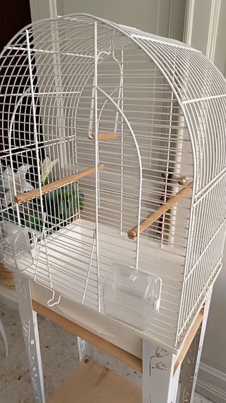 Jaula pajaros blanca con soporte