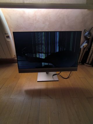 Monitor HP E273M - Pantalla dañada