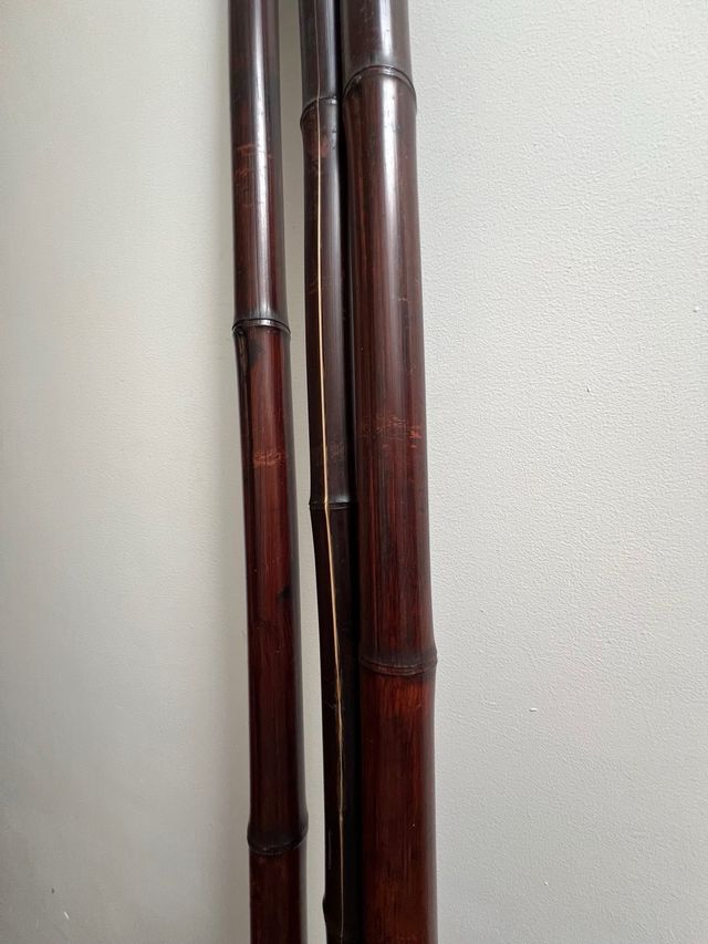 3 cañas bambú decorativas 2 metros - bengee