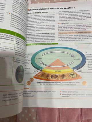 Biologia 2.