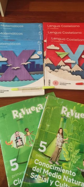 Libros de 5° de primaria