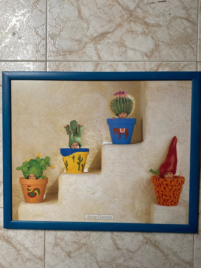 Quadro per bambini che decora Anne Geddes: Cactus Babies