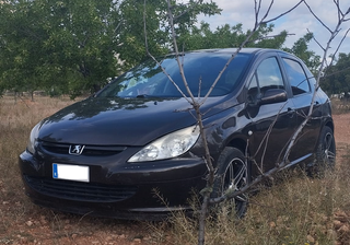 Peugeot 307 sp xt hdi 2004 142.000 km