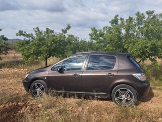 Peugeot 307 sp xt hdi 2004 142.000 km