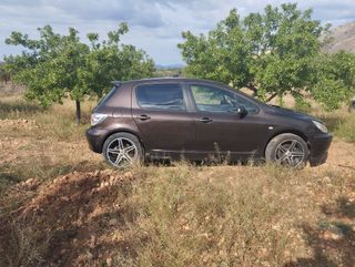Peugeot 307 sp xt hdi 2004 142.000 km