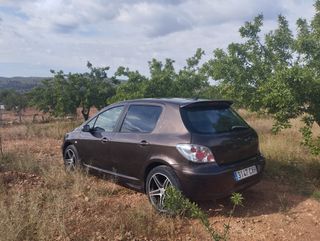 Peugeot 307 sp xt hdi 2004 142.000 km