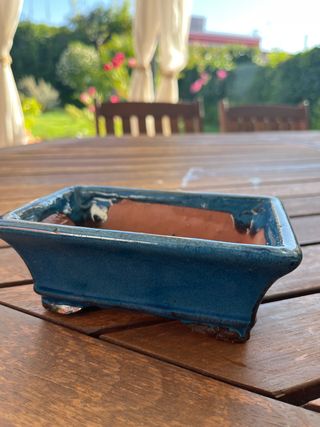 Maceta Bonsái Azul Vintage