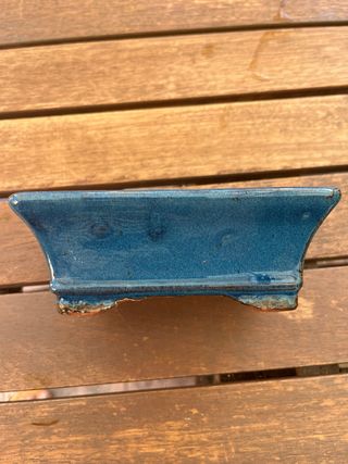 Maceta Bonsái Azul Vintage