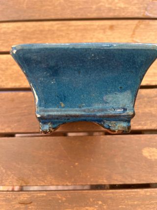 Maceta Bonsái Azul Vintage