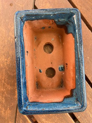 Maceta Bonsái Azul Vintage