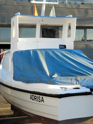 Barco Adrisa: Motor Mercury 25cv