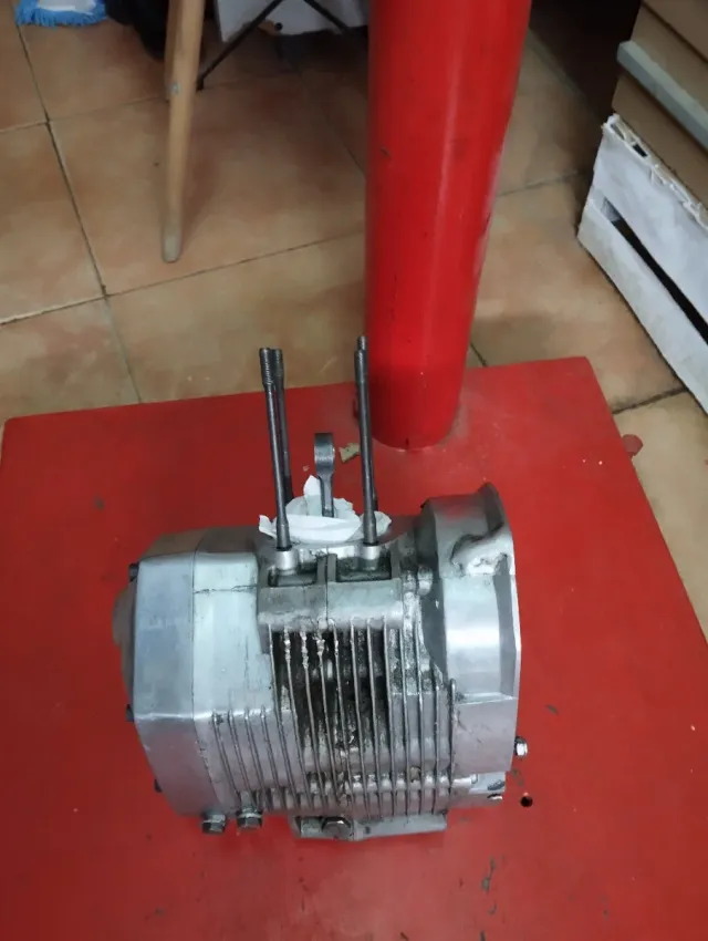 MOTOR PUCH COBRA
