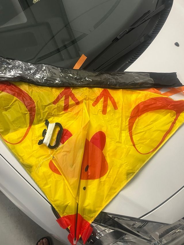 Cometa Infantil Diseño Oso