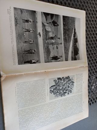 Diccionario de Agricultura, Zootecnia y Veterinari