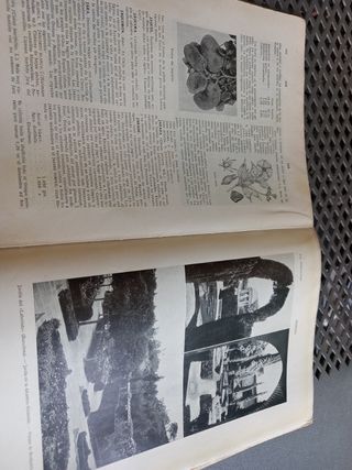 Diccionario de Agricultura, Zootecnia y Veterinari