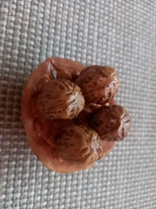 Diccionario de Agricultura, Zootecnia y Veterinari