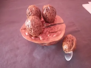 Diccionario de Agricultura, Zootecnia y Veterinari