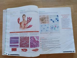 Libro de texto Biology & Geology 3º ESO