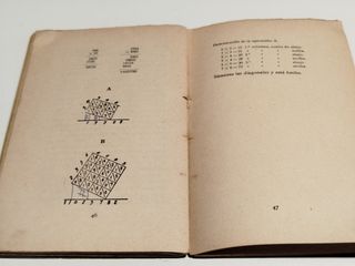 Curiosidades Matemáticas, 1925.