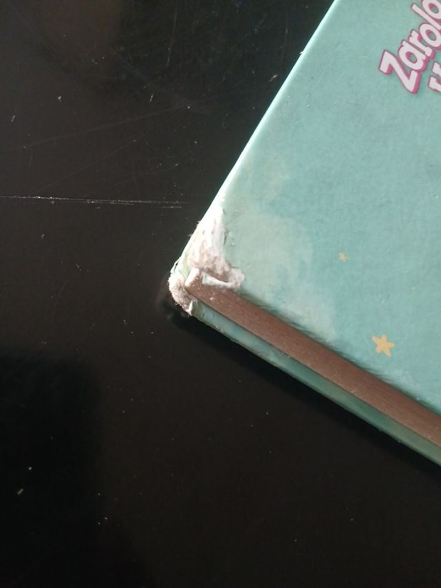 El diario mágico (Zarola Kids)