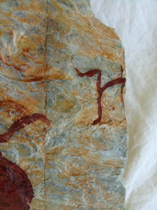 Pintura rupestre Altamira