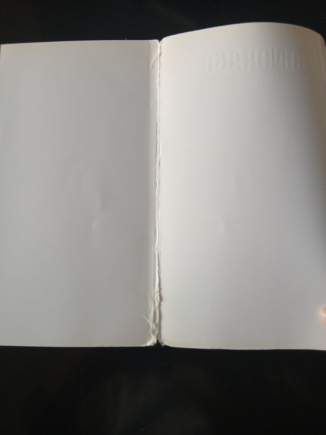 Mondragó. El baobab. Libro 3 (Mondrago) (Spanis...