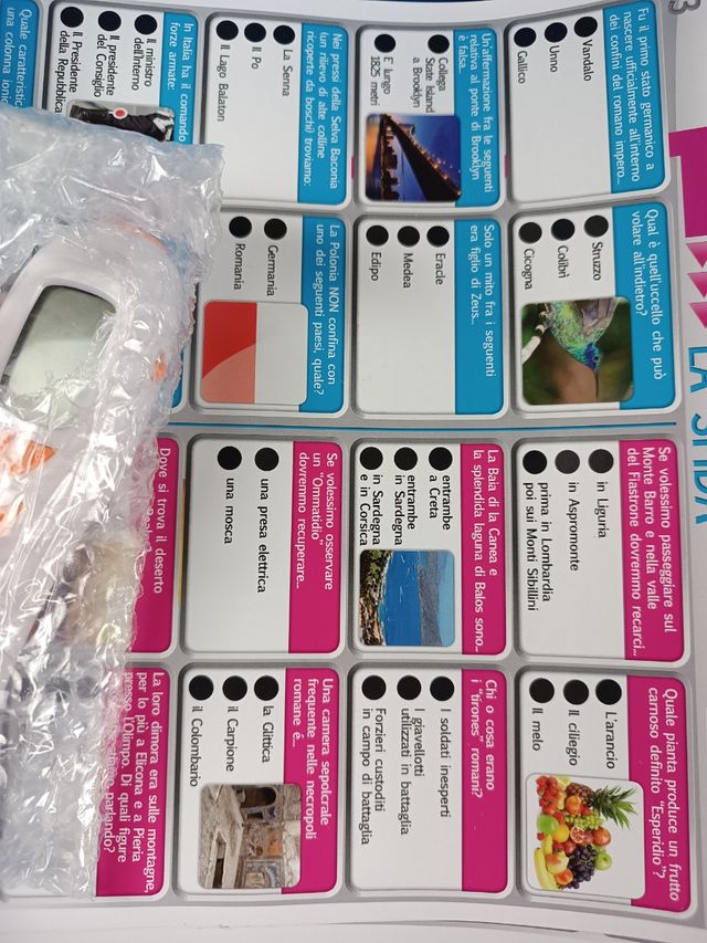 Gioco educativo Allena Mente Master