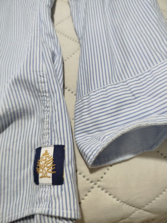 Camisa Springfield L - Azul Rayas