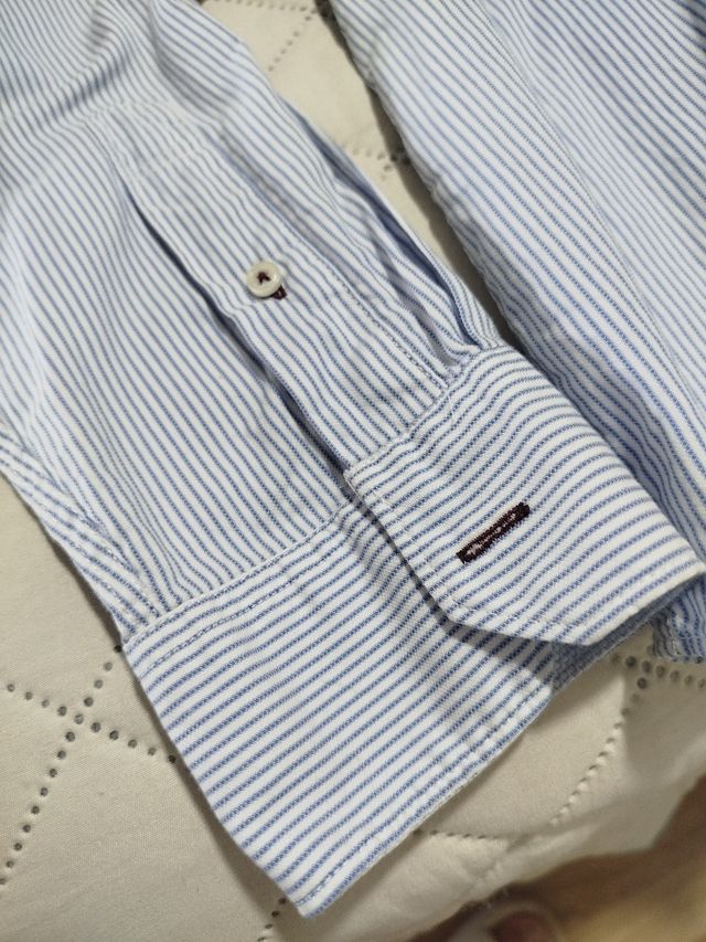 Camisa Springfield L - Azul Rayas