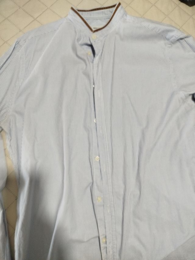 Camisa Springfield L - Azul Rayas